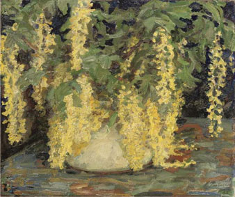 Still life with laburnum