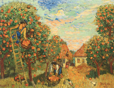 Picking apples