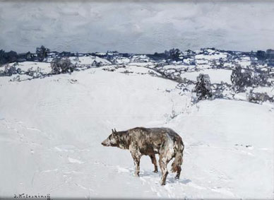 Lone wolf in the snow