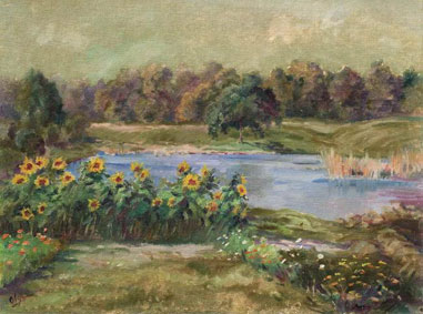 Sunflowers by the creek
