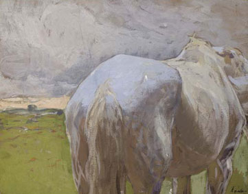 Study of a horse