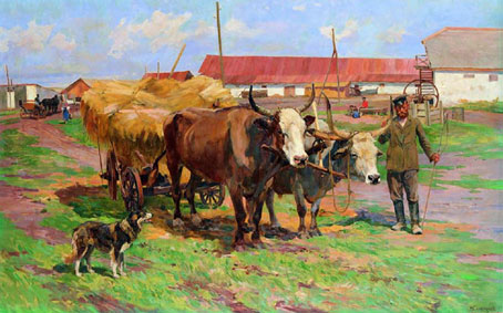 Oxen with the drover