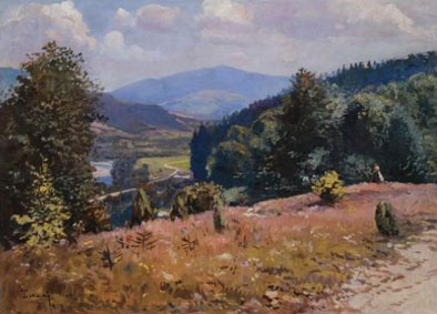 Carpathian landscape in summer