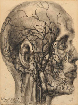 Untitled (Head Study)