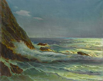 Costal landscape