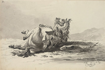 Stallion rolling; with saddle