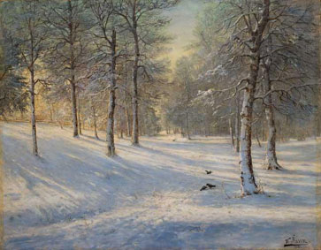 Winter forest