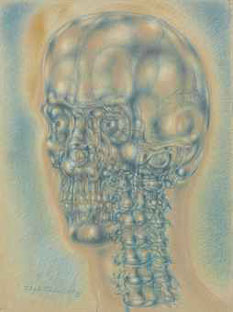 Interior landscape III. Skull