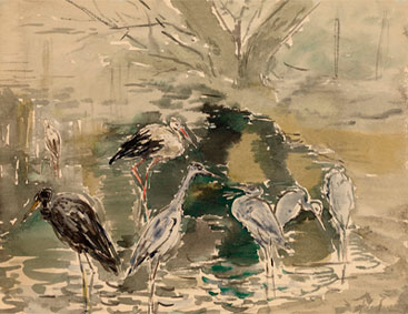 Herons