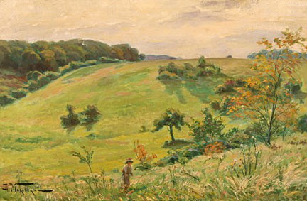 Field on a hillside