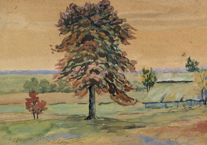 Landscape at Polesie