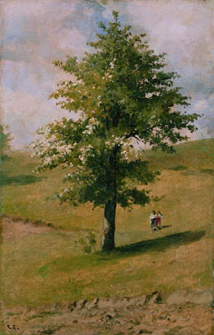 An oak