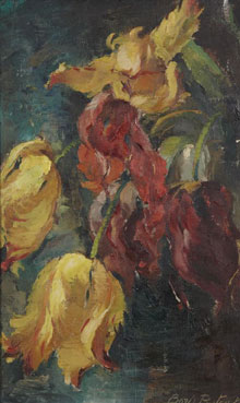 Etude de tulipes perroquet