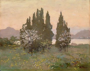 Summer landscape