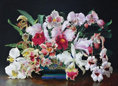 Orchids