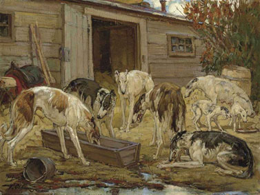 The kennels