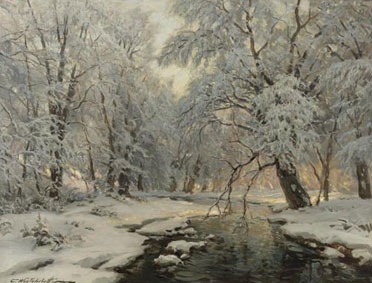 Winter in the forest