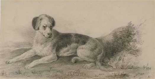 Reclining dog; and Circus scene