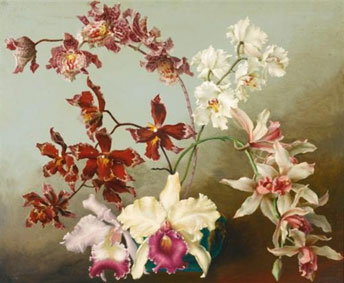 Still life with orchids