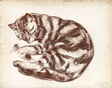 Три рисунки кота