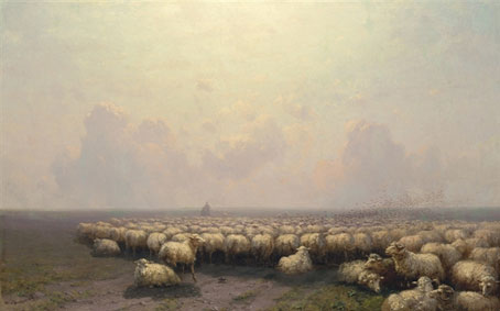 Овци