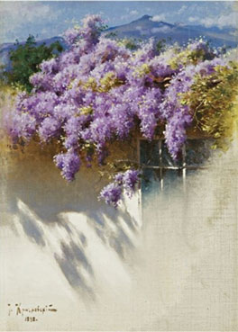 Wisteria in bloom