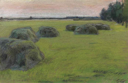 A field in springtime