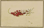 Red and white currants