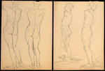 Two studies of human body